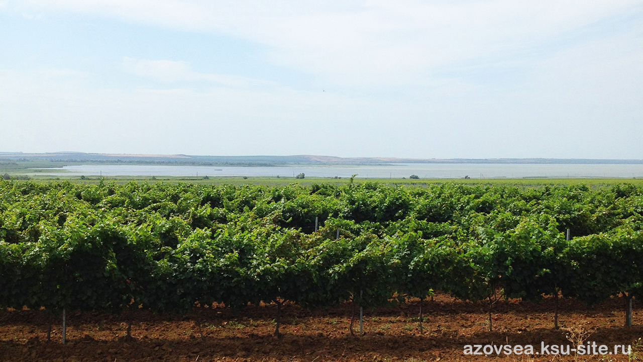 Станица Голубицкая