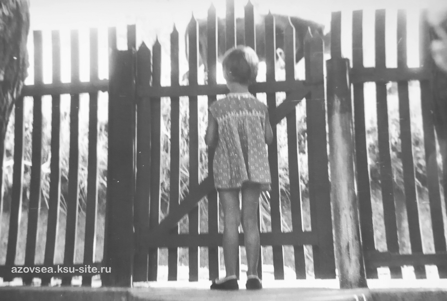 Пересыпь 1983 Пересыпь 1983 год