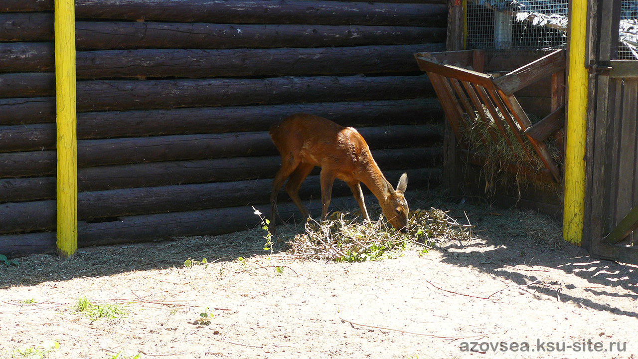 Грязевой вулкан Тиздар